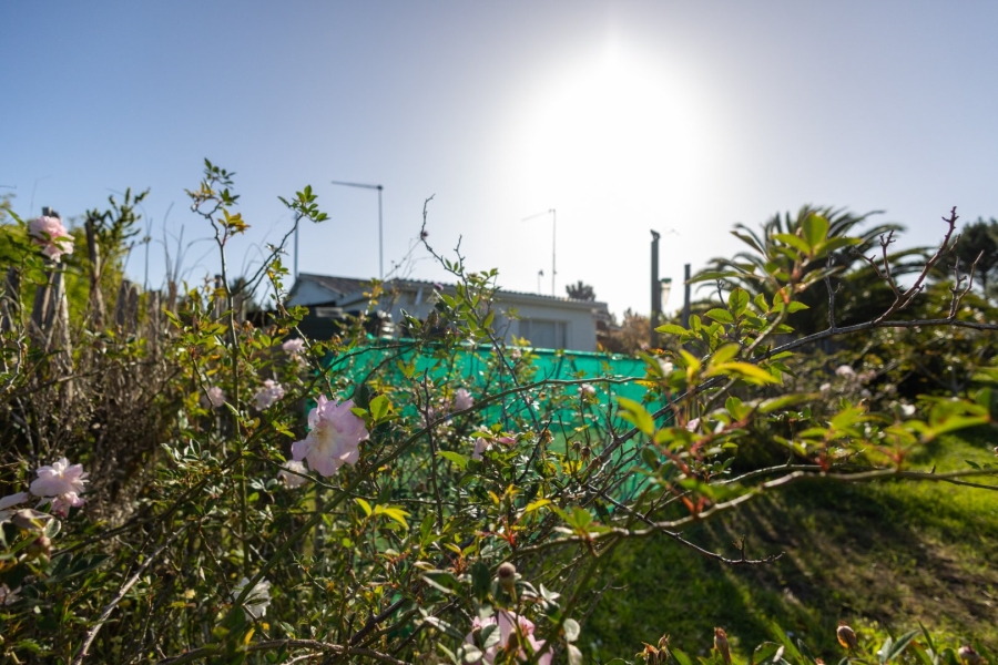  Bedroom Property for Sale in Plettenberg Bay Rural Western Cape